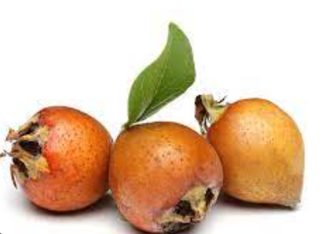 میوه ویون
